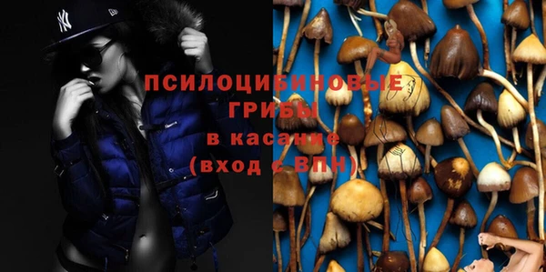 а пвп мука Алексин