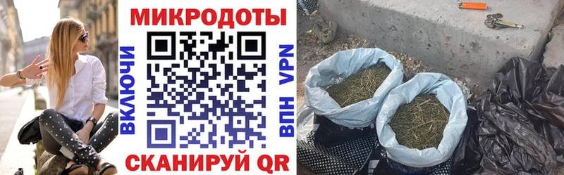 Псилоцибиновые грибы ЛСД  Ветлуга 